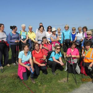 Walking Gallery 2015