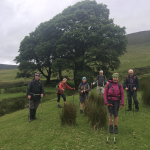 Walking Gallery 2020