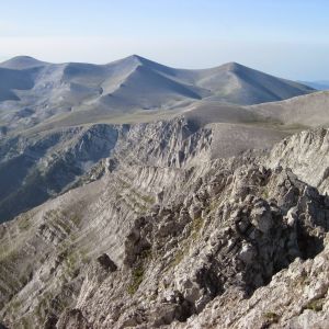 Walking Gallery 2013/14