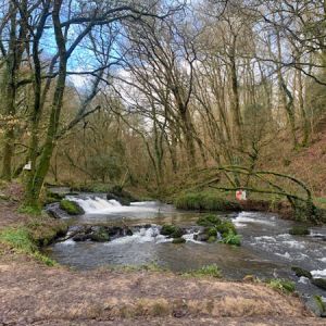 Walking Gallery 2024