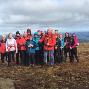 Walking Gallery 2022