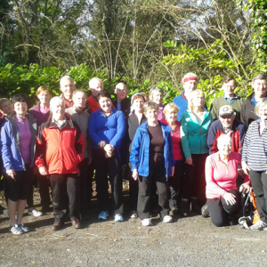 Walking Gallery 2017