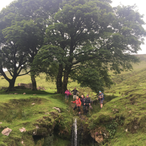 Bears Return in July