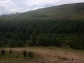 Glengarra 5