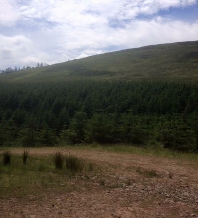 Glengarra 7